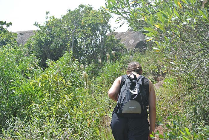 Dschungel-Wanderung bei 35° und tropischer Luftfeuchtigkeit